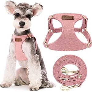 Puppytie No Pull Small Dog Harness with Multifunction Dog Leash, Lightweight Soft Adjustable No Choke Escape Proof Pet Harness Vest, Pink : Pet Supplies