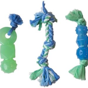 Pet Supplies  Outward Hound Mini Dentachew Dental Dog Chew Toy - 3 Pack - Great Size for Small Dogs and Puppies :