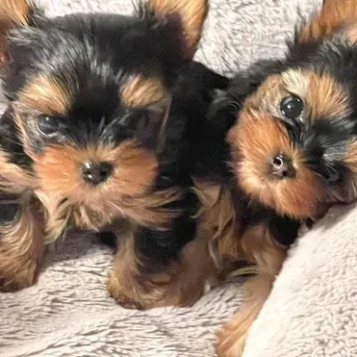 295263376_450671697070881_5509096022962733717_n