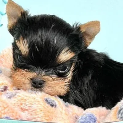 300230654_471802184957832_1826931353649981821_n