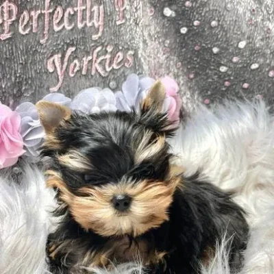 308981572_497476069057110_3254724453560274335_n